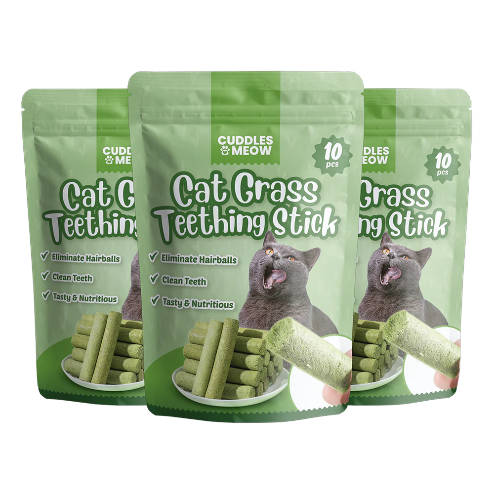 Cat Grass Teething Stick
