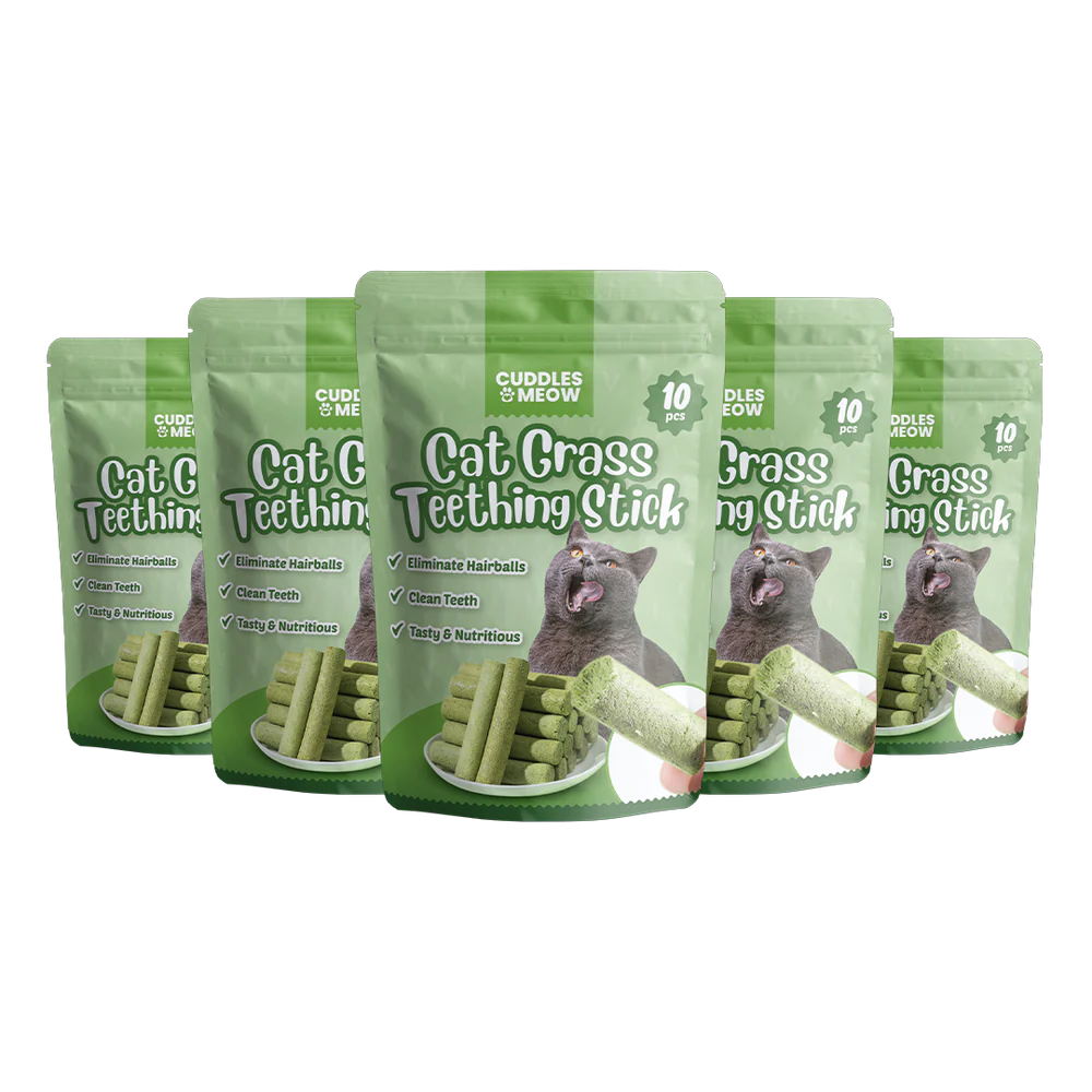 Cat Grass Teething Stick