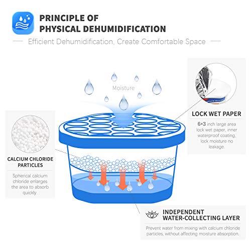 Moisture Absorber Dehumidifier, Unscented